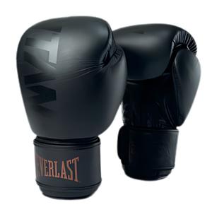 Thai boxing gloves Everlast Titan