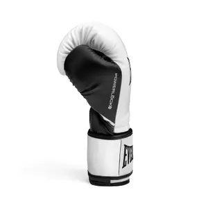 Edző kesztyűk Everlast Powerlock OG image-3