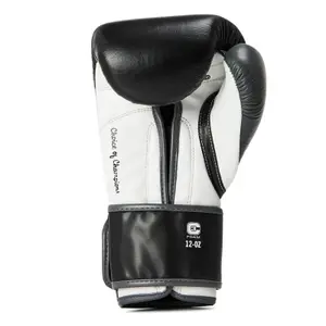 Velcro-szorítású edzőbokszkesztyűk Everlast Powerlock OG image-1