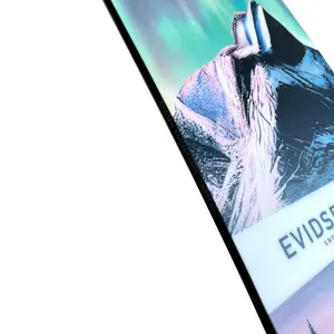 Snowboard Evidsen Boreal 163 Wide image-2