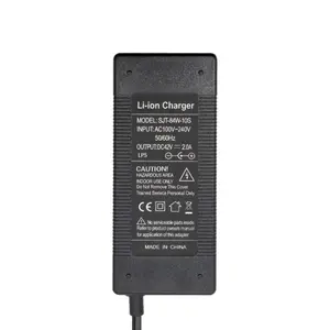 Chargeur di batteria con connettore Ewheel CC image-1