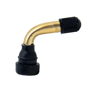 Přívěsná ventilka Ewheel pvr40 (x10)