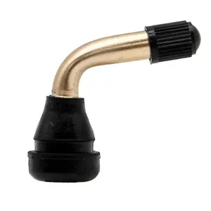 Ventil Ewheel pvr60 (x10)