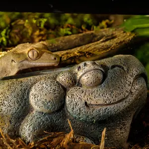 Feeder accessory Exo Terra Aztec image-1