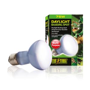 Terrarium lamp Exo Terra Daylight Basking Spot 75W