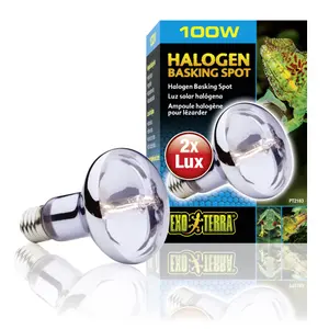 Halogen-Terrarienlampe Exo Terra Sun Glo 50W