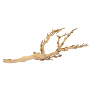 Geschuurde wijnstok decoratieset Exo Terra image-2