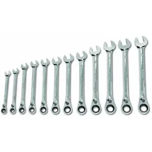 Ringmaulschlüssel mit Ratsche Expert (x12) image-0