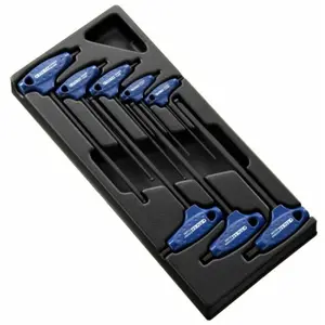 Moduli chiave maschio a 6 facce a T - piano in plastica Expert (x8)