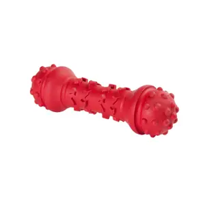 Παιχνίδι για σκύλους Eyenimal Dumbbell image-0