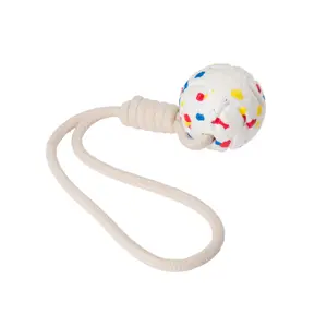 Jouet pour chien Eyenimal Pull Ball image-0