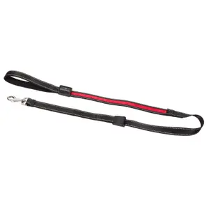 Reflective dog leash Eyenimal