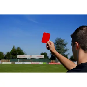 Paar Kartons als Ersatz PowerShot image-1