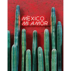 Boxer Pull-in fashion 2 mexicoamor image-2