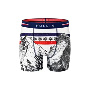 Boxer Pull-in fashion 2 summit image-0