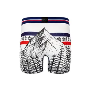 Boxer Pull-in fashion 2 summit image-1