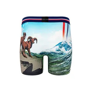 Boxer Pull-in fashion 2 valley image-1