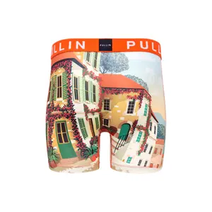 Boxer Pull-in fashion 2 village image-1