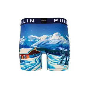 Boxer Pull-in fashion 2 wintersky image-1