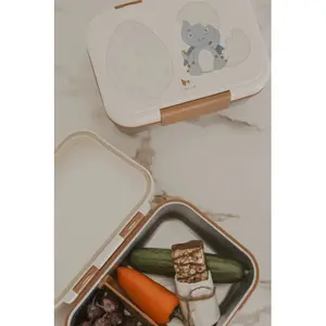 Children's lunch box Fabelab Dinoland Blue image-4