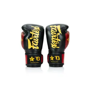 Luvas de boxe Fairtex FXB BG V2 image-0