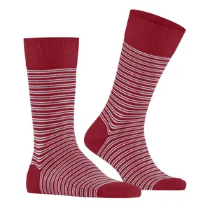 socks Falke Family Special Edition image-0