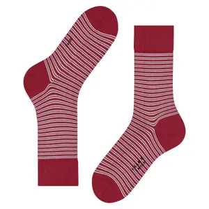 socks Falke Family Special Edition image-1