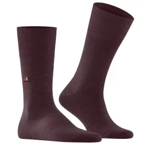 Socken Falke Airport X-Mas Dachshund image-2