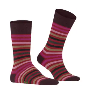 socks Falke Tinted Stripe image-2
