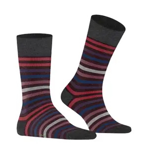 socks Falke Tinted Stripe image-2