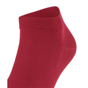 Cotton socks Falke ClimaWool image-3