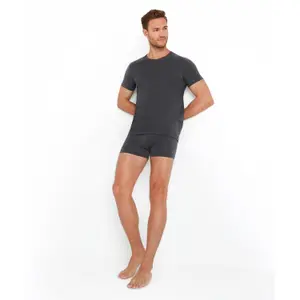 Trikot Falke Daily ClimaWool image-2