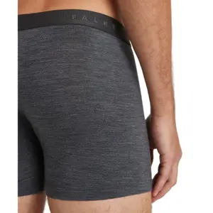 Boxer shorts Falke Daily ClimaWool image-4