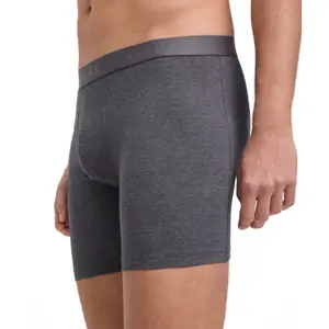 Long boxers Falke (x2) image-4