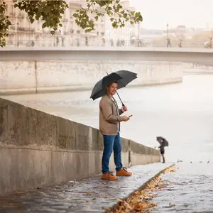 Classic Automatic Umbrella Fare image-1