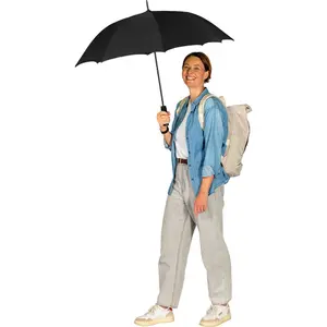Classic Automatic Umbrella Fare image-2