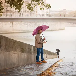 Classic Automatic Umbrella Fare image-1