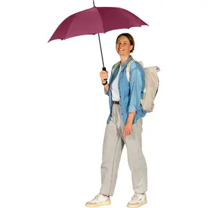 Classic Automatic Umbrella Fare image-2