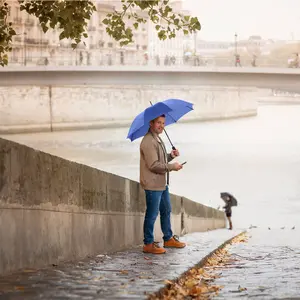 Classic Automatic Umbrella Fare image-1