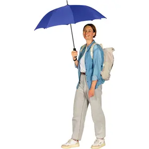 Classic Automatic Umbrella Fare image-2