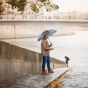 Classic Automatic Umbrella Fare image-1
