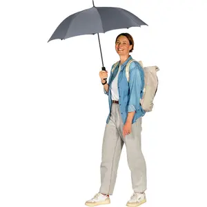 Classic Automatic Umbrella Fare image-2