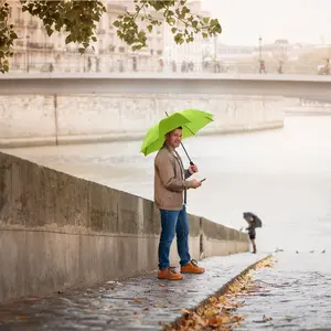 Classic Automatic Umbrella Fare image-1