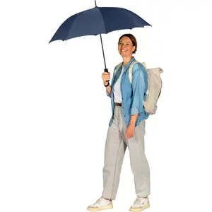 Classic Automatic Umbrella Fare image-2