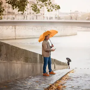 Classic Automatic Umbrella Fare image-1