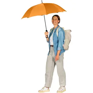 Classic Automatic Umbrella Fare image-2