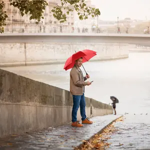 Classic Automatic Umbrella Fare image-1
