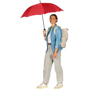 Classic Automatic Umbrella Fare image-2