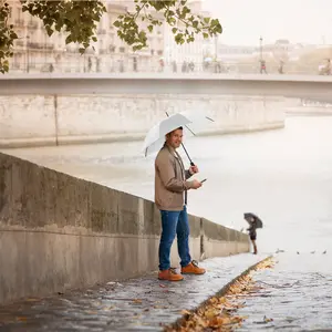 Classic Automatic Umbrella Fare image-1