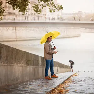 Classic Automatic Umbrella Fare image-1